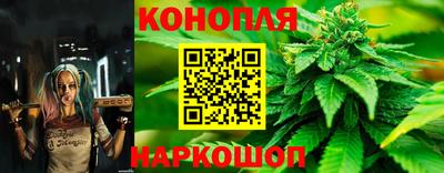 PSILOCYBIN Будённовск