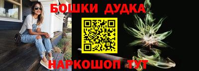 PSILOCYBIN Будённовск