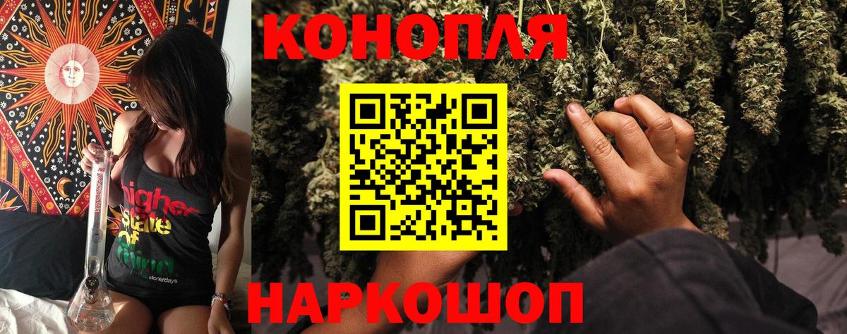 Канабис OG Kush Большой Камень